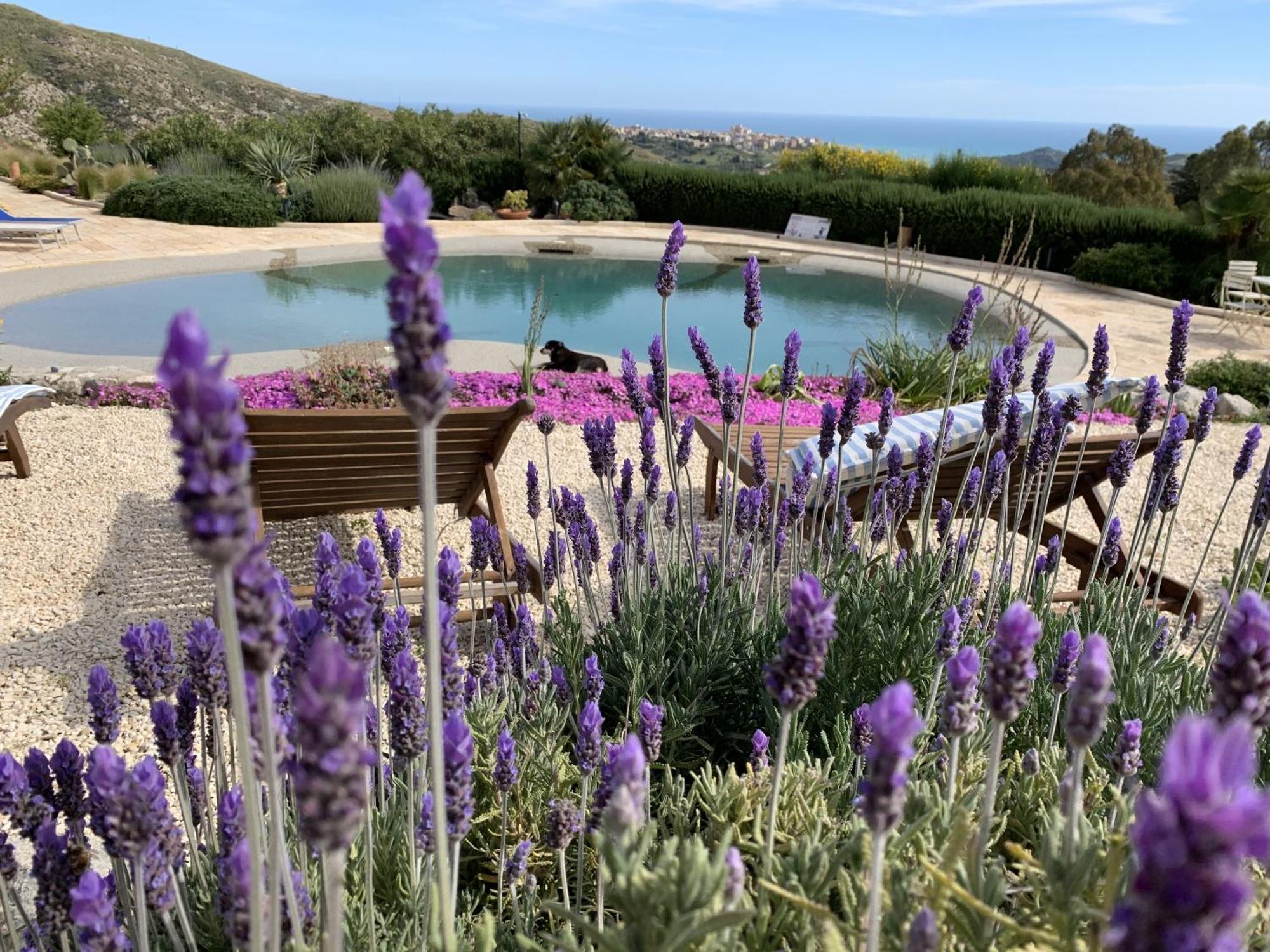 Casa Balata Farm House Realmonte Exterior photo